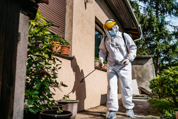 Best Rat Extermination Near Me  in Buzzards Bay, MA