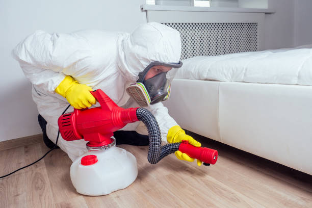 Best Pest Prevention Services  in Buzzards Bay, MA